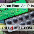 African Black Ant Pills new04